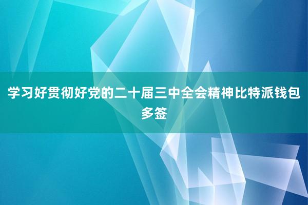 学习好贯彻好党的二十届三中全会精神比特派钱包多签