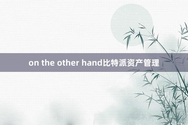 on the other hand比特派资产管理