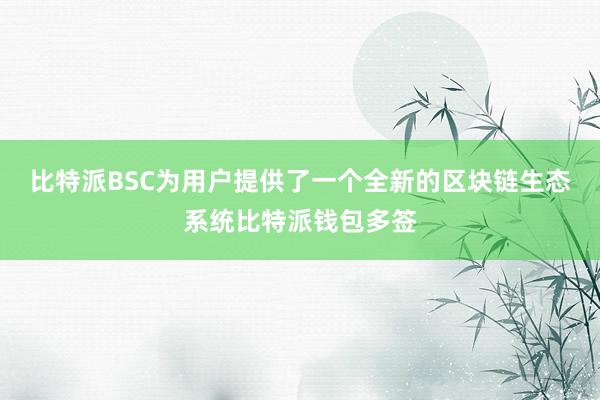 比特派BSC为用户提供了一个全新的区块链生态系统比特派钱包多签